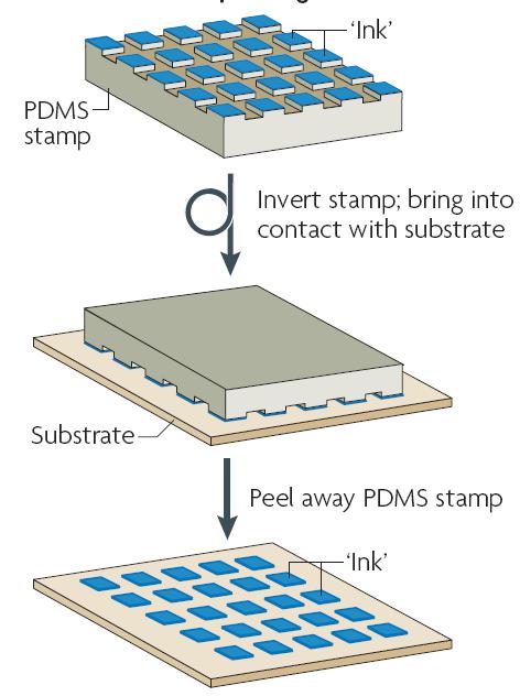 圖 5 微接觸印刷技術(shù)的過程