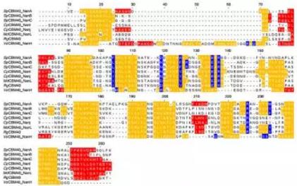 設(shè)計(jì)PPI治療方案，多考慮點(diǎn)