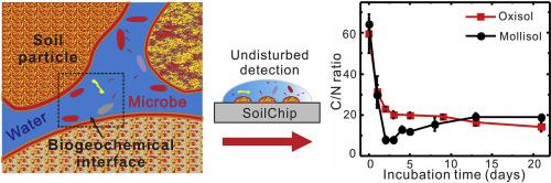采用濕潤性圖案化微流控芯片技術(shù)用于土壤生物地球化學(xué)界面的形成過程研究