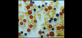 圖2. 液滴對外加磁場的響應(yīng)。圖片來源：Nature