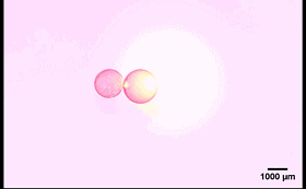 圖4. “齒輪”型液滴機械系統(tǒng)。