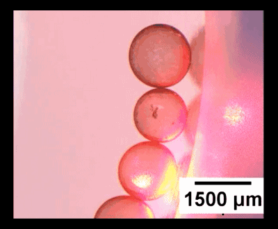 圖4. “齒輪”型液滴機械系統(tǒng)。