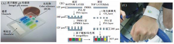 圖 2 可穿戴式汗液pH值檢測微流控系統(tǒng)