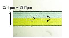 流動微反應(yīng)優(yōu)點(diǎn)