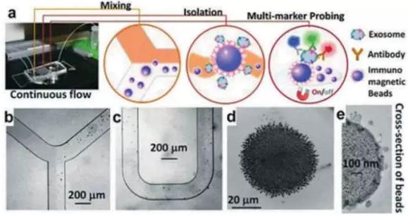 圖4：基于免疫親和原理分析外泌體的微流控系統(tǒng)