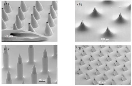 圖1不同種類的微針。(A)金屬錐形針(B)中心偏置的火山形針(C)城堡形狀的針頭(D)鋸齒形的針頭
