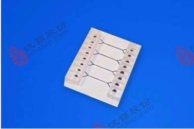 汶顥玻璃微流道常規(guī)細(xì)胞培養(yǎng)芯片