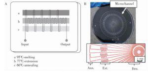 圖2&nbsp; 蛇形通道型 PCR芯片:(A) 平行通道 PCR芯片，(B) 輻射通道 PCR芯片