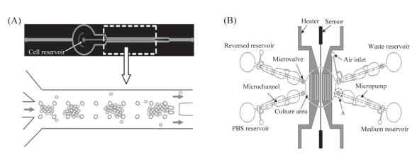微流控芯片來培養(yǎng)細(xì)胞