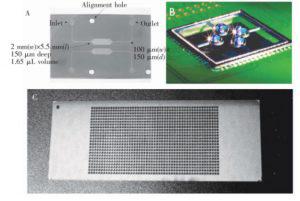 圖1&nbsp; 微池型 PCR芯片: (A) 單反應(yīng)池 PCR芯片，(B) 液滴虛擬微池 PCR芯片， (C) 微池陣列 PCR芯片