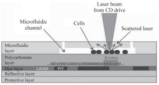 圖4微流控芯片細(xì)胞計數(shù)研究