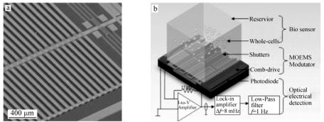 圖2整合的微光電機械系統(tǒng)(MOEMS)(a)和細胞傳感生物傳感芯片實驗室系統(tǒng)(b)