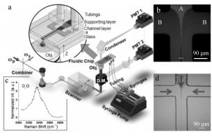 圖3CARS細胞計量檢測系統(tǒng)和芯片上流體聚焦效應