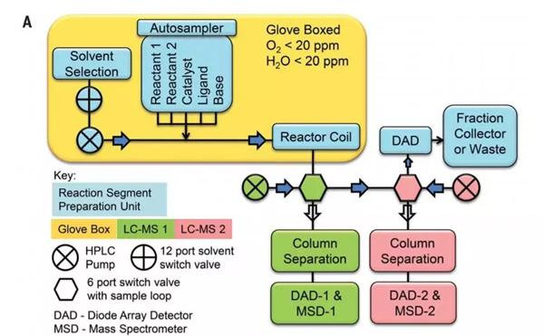 連續(xù)流平臺的自動取樣-反應(yīng)-分析平臺示意圖?？紤]到待測的化學(xué)物質(zhì)可能對空氣和濕度敏感，作者將反應(yīng)器組裝在手套箱環(huán)境中（圖片來源：《科學(xué)》）