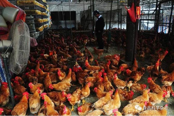 食品中抗病毒類藥物殘留檢測方法研究進展