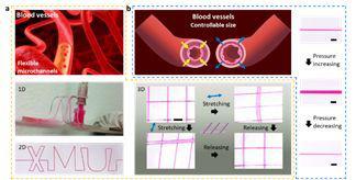 彈性體高分子膜基材料微流控技術(shù)