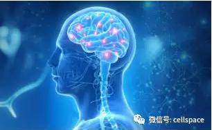 從實(shí)際應(yīng)用出發(fā)，讓標(biāo)志物助力精準(zhǔn)診斷