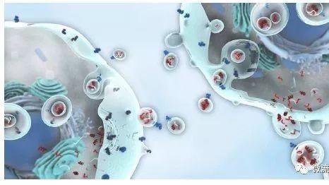 眾望所歸，液體活檢技術(shù)將迎來全新發(fā)展時代