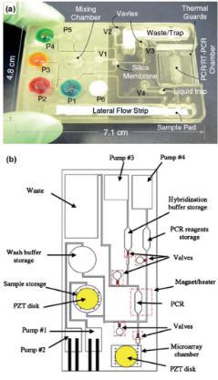 聚碳酸酯微流體盒，其中袋填充染料更好的可視化，他們被設(shè)計來存儲各種試劑和緩沖區(qū)