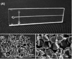 典型的纖維電泳微芯片的照片和玻璃纖維包裝的微通道的橫截面的SEM圖像。