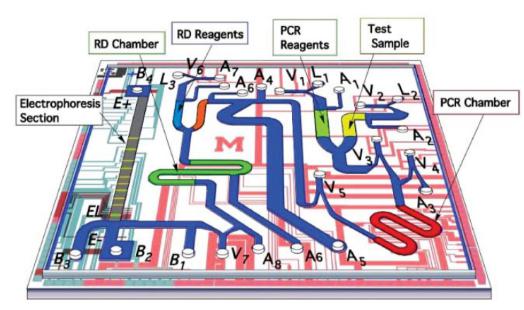 來自Pal等具有集成電泳分析的微流控PCR芯片，