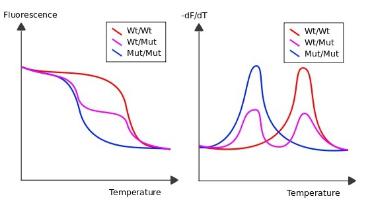 嵌入劑qPCR的解析曲線分析
