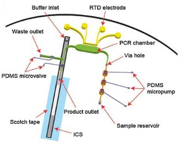 與免疫色譜（或側(cè)向流動(dòng)）檢測相關(guān)的微流控RT-PCR測定