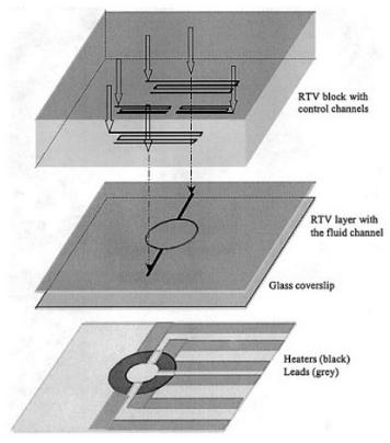 Microfluidic Oscillating flow PCR chip. The 1st RTV layer correspond to the PDMS Quake valve and the second one to the PDMS microfluidic channels for PCR sample.