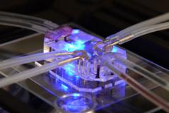 細(xì)胞生物學(xué)微細(xì)加工技術(shù)