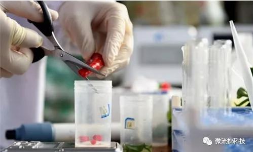 食品安全檢測市場發(fā)展趨勢(shì)分析 快速檢測市場前景樂觀