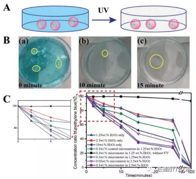 圖4. 自驅動顆粒的亞甲基藍降解研究