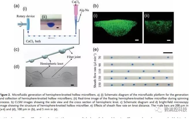 微流控免油紡絲法制備具有不同結(jié)點(diǎn)和可灌注通道的仿項(xiàng)鏈微纖維
