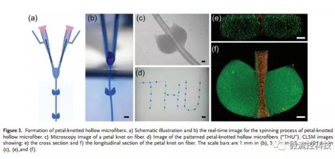 微流控免油紡絲法制備具有不同結(jié)點(diǎn)和可灌注通道的仿項(xiàng)鏈微纖維
