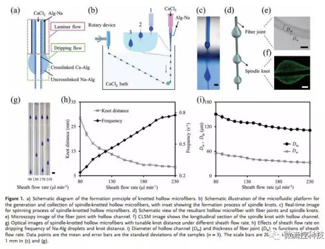 微流控免油紡絲法制備具有不同結(jié)點(diǎn)和可灌注通道的仿項(xiàng)鏈微纖維
