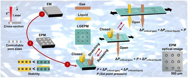 受動(dòng)物胃粘膜啟發(fā)雙門控液體復(fù)合高分子膜系統(tǒng)用于開發(fā)仿生抗污染微流控新技術(shù)
