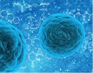 3D細(xì)胞培養(yǎng)