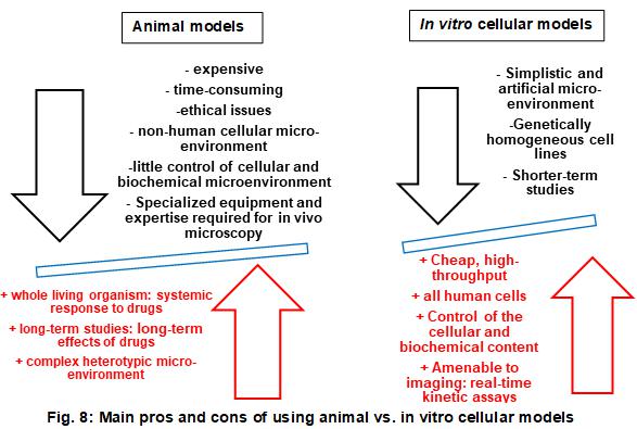 大多數(shù)優(yōu)點(diǎn)和缺點(diǎn)適用于整個(gè)體外模型，即2D和3D蜂窩系統(tǒng)