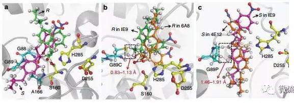 針對該問題，上海交通大學(xué)楊廣宇研究員團隊建立了基于雙通道液滴微流控技術(shù)的酶立體選擇性超高通量篩選方法，能夠在微液滴中以高達(dá)每天107個突變體的速度同時檢測目標(biāo)酶對兩種對映體底物的催化活性，并高效分選出陽性個體。
