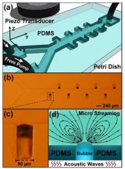 超聲主動(dòng)微流體混合