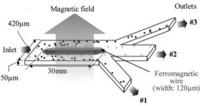 用于連續(xù)微流體顆粒分選的軟磁元件