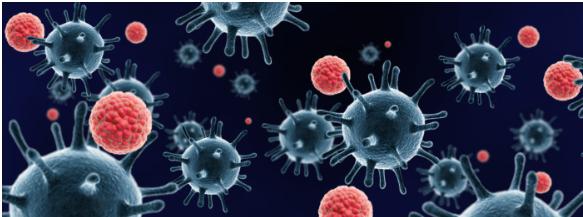 液滴測(cè)序（DROP-SEQ）