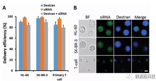 微流控芯片技術(shù)助力免疫治療，將CRISPR體系傳遞到人類T細胞