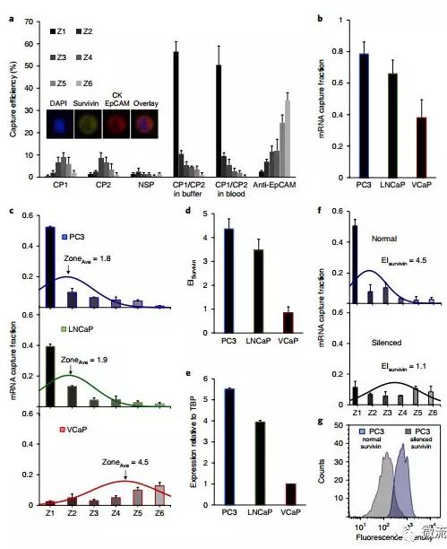 基于微流控芯片的新型液體活檢技術(shù)，助力前列腺癌診療