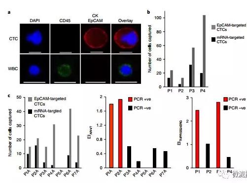 基于微流控芯片的新型液體活檢技術(shù)，助力前列腺癌診療