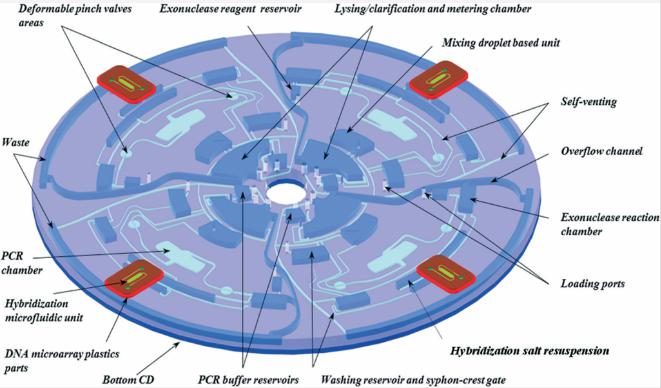 圖2：Lab-on-Disc設(shè)備的顯示，顯示了四個平行測試以及各個組件，指示裂解，PCR擴增，外切核酸酶反應(yīng)，微陣列雜交等功能。