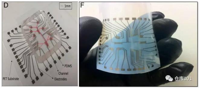 圖2. D)檢測平臺實(shí)物圖 F) PET柔性電路板實(shí)物圖