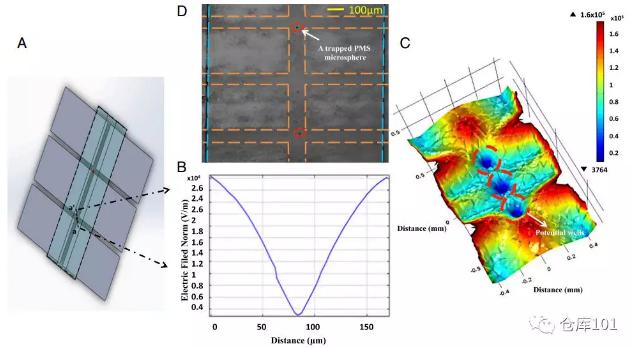 圖3. 多元復(fù)雜體系中單個(gè)生物粒子限制功能 A)微流控芯片示意圖；B)微流控管道內(nèi)電勢分布；C)三維電勢圖；D)顯微照相圖