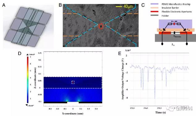 圖6. 實(shí)時(shí)單細(xì)胞計(jì)數(shù) A)微流控芯片示意圖；B)單個(gè)細(xì)胞通過電極顯微照相圖；C)等效電路圖；D)單個(gè)細(xì)胞通過的電勢計(jì)算圖；E)6個(gè)PMS微球通過的實(shí)驗(yàn)測量電勢圖