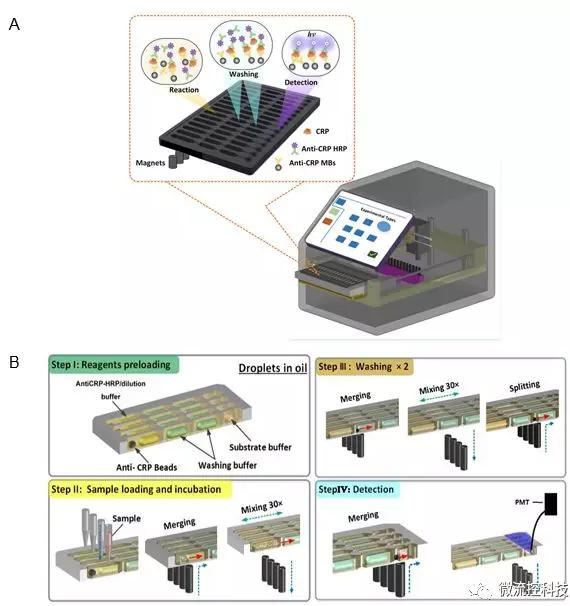 圖2 液滴陣列微流控芯片免疫分析系統(tǒng)。A. 分析儀器結(jié)構(gòu)示意圖;B. 分析原理示意圖。
