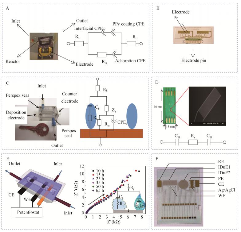 圖3微流控芯片電化學(xué)阻抗檢測(cè)生物被膜實(shí)例